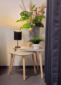 FeWo Glockenberg im Ferienpark Altenau