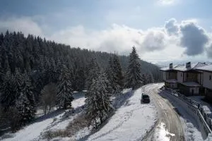 Апартамент ДЕНИ - Lyevochevo