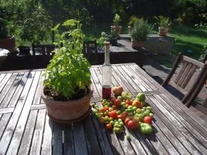 Ferienwohnung in ruhiger Lage am Waldrand - Mierzeszyn