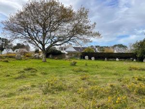 Maisons de vacances Maison vue sur les alignements de Carnac - Les Glycines : photos des chambres