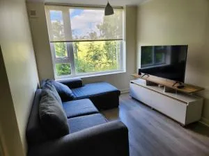 Cómodo y acogedor departamento - Pichil