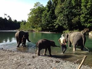 Indra Valley Inn Bukit Lawang
