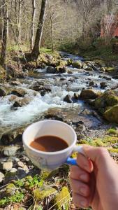 Casa de vacanta Julius