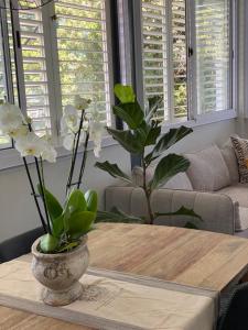 The Oak Suite - 7 on Murray Historic Stellenbosch