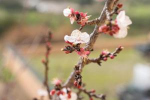 Casa nel centro di Budoni img21