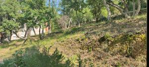 T4 agréable corniche