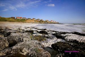Maisons de vacances La Desirade Audresselles, charmante maison a 250 m de la plage : photos des chambres