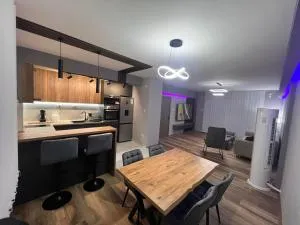 Central Apartment Mitrevski - 内戈蒂诺