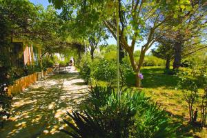 Villas The Olive Garden - Charming Villa for 10 with pool and fast Wifi : photos des chambres