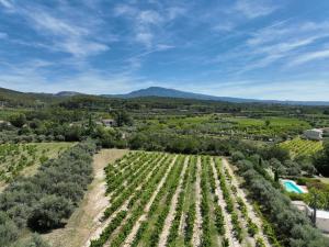 Villas The Olive Garden - Charming Villa for 10 with pool and fast Wifi : photos des chambres