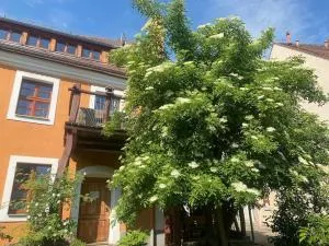 Toplage (!) Altstadthaus (!) Wohnung+Garten - Jędrzychowice