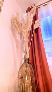 Appartements Le corail - Centre - Gayant - Gare : photos des chambres