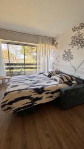 Studio face au Bassin dArcachon