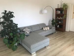 Appartements Deux chambres pour six personnes, piscine, jardin : photos des chambres