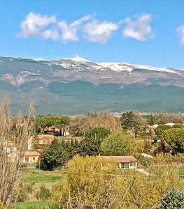 Maisons de vacances MAISON COSY VENTOUX avec jardin vue Ventoux a Mormoiron : photos des chambres