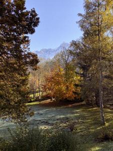 Chalets Chalet Vinales : photos des chambres