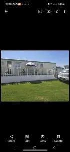 Sherwood golden palm - 查珀尔圣伦纳兹