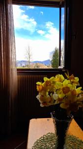 Casa Costa - Residenze Bucaneve