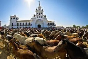 Mini Rocio - 埃尔罗西奥