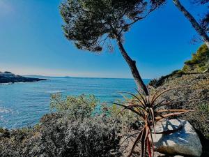 Appartements Escapade au coeur de Sanary : photos des chambres