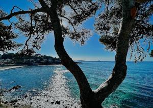 Appartements Escapade au coeur de Sanary : photos des chambres