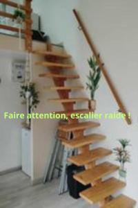 Lodge 2 étoiles la tête dans les pins les pieds dans l eau