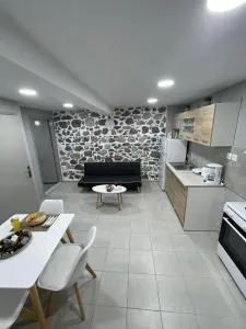 Meraki house of kalymnos Apartments - Dhásos