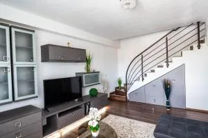 Apartament Citadel - 赛比什