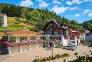 Flair Hotel Adlerbad - Bad Rippoldsau-Schapbach