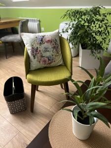 Apartament Nawojowski