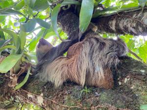 Villa Sueños del Arenal