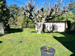 Appartements Logement provencal au calme a 20 min d’Avignon : photos des chambres