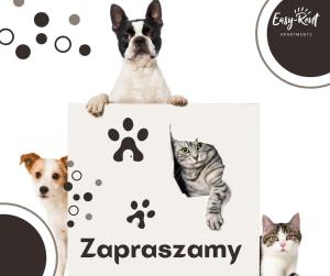 Grunwaldzka 12 B22 - Easy-Rent Apartments - 50m od plaży