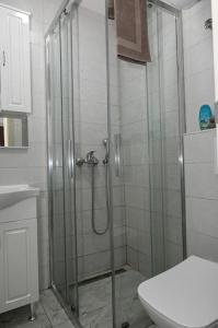 Vujovic Apartments 1