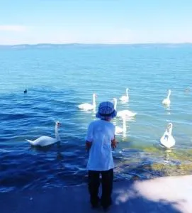 Ferienhaus in Balatonszársz mit Terrasse und Grill - Szólád