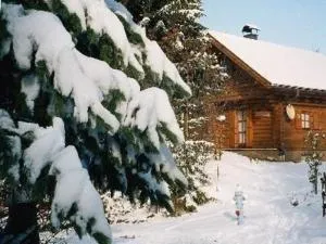 Ferienhaus Stoakoglhütte in Klippitztörl - Leiwald
