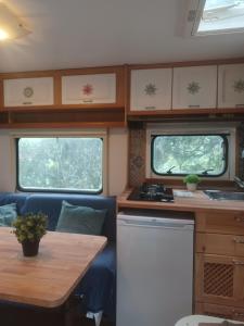 Camping en Molino Dorado