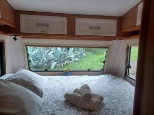 Camping en Molino Dorado