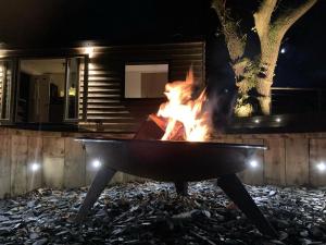 The Cabin in the Woods