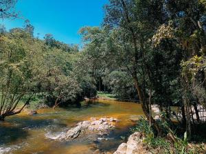 Suíte com Mezanino e Cachoeira no Quintal