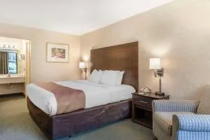 Quality Inn Vienna - Tysons Corner - Odricks Corner