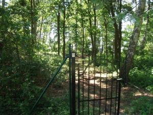 Ferienhaus in Nowe Warpno mit Garten, Terrasse und Grill und Seeblick