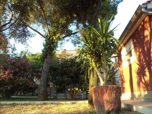 Strandnahes, kleines Ferienhaus mit schattiger Terrasse und Gartennutzung, ruhig gelegen in der Nähe von Zadar