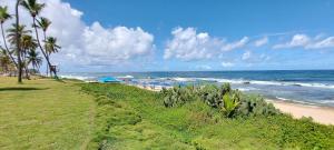 COSTE0100 - Residencial Luz das Acácias