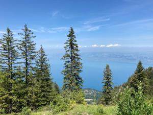 Appartements Chez Muttie At the heart of Thollon Resort between lake and mountain : photos des chambres