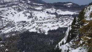 Appartements Chez Muttie At the heart of Thollon Resort between lake and mountain : photos des chambres