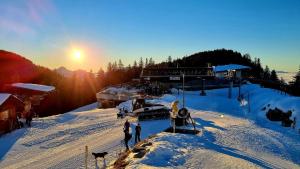 Appartements Chez Muttie At the heart of Thollon Resort between lake and mountain : photos des chambres