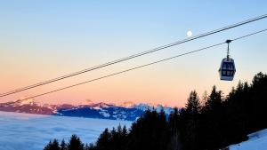 Appartements Chez Muttie At the heart of Thollon Resort between lake and mountain : Appartement 2 Chambres