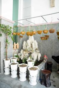 Stargazerhotel Đà Nẵng- Khách sạn Hoa Ly