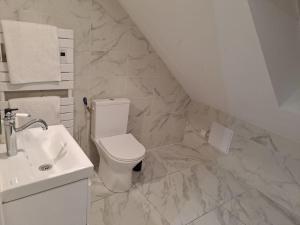 Appartements T2 / 24h du Mans / Circuit / Karting / Antares / Boulerie Jump / Stade de foot : photos des chambres